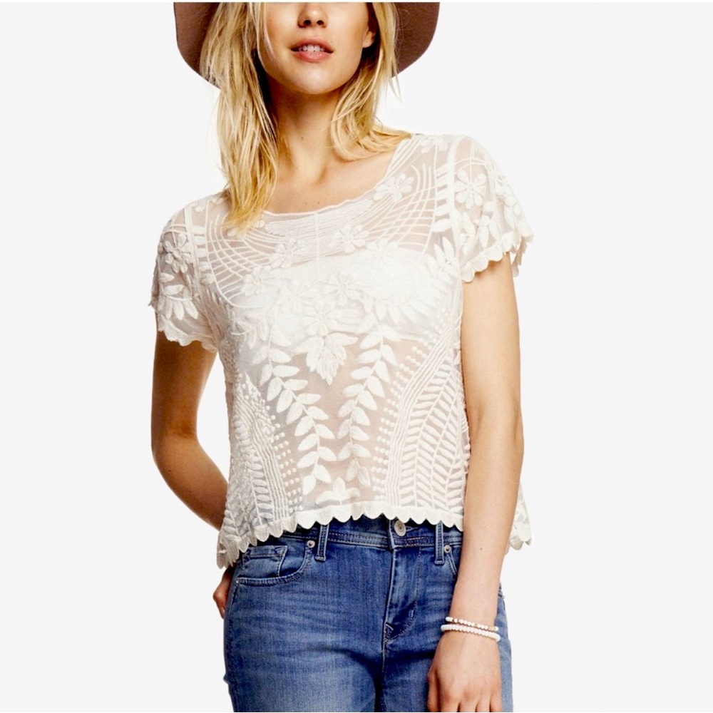 Express Mesh Embroidered Detail Cap Sleeve Crew Neck